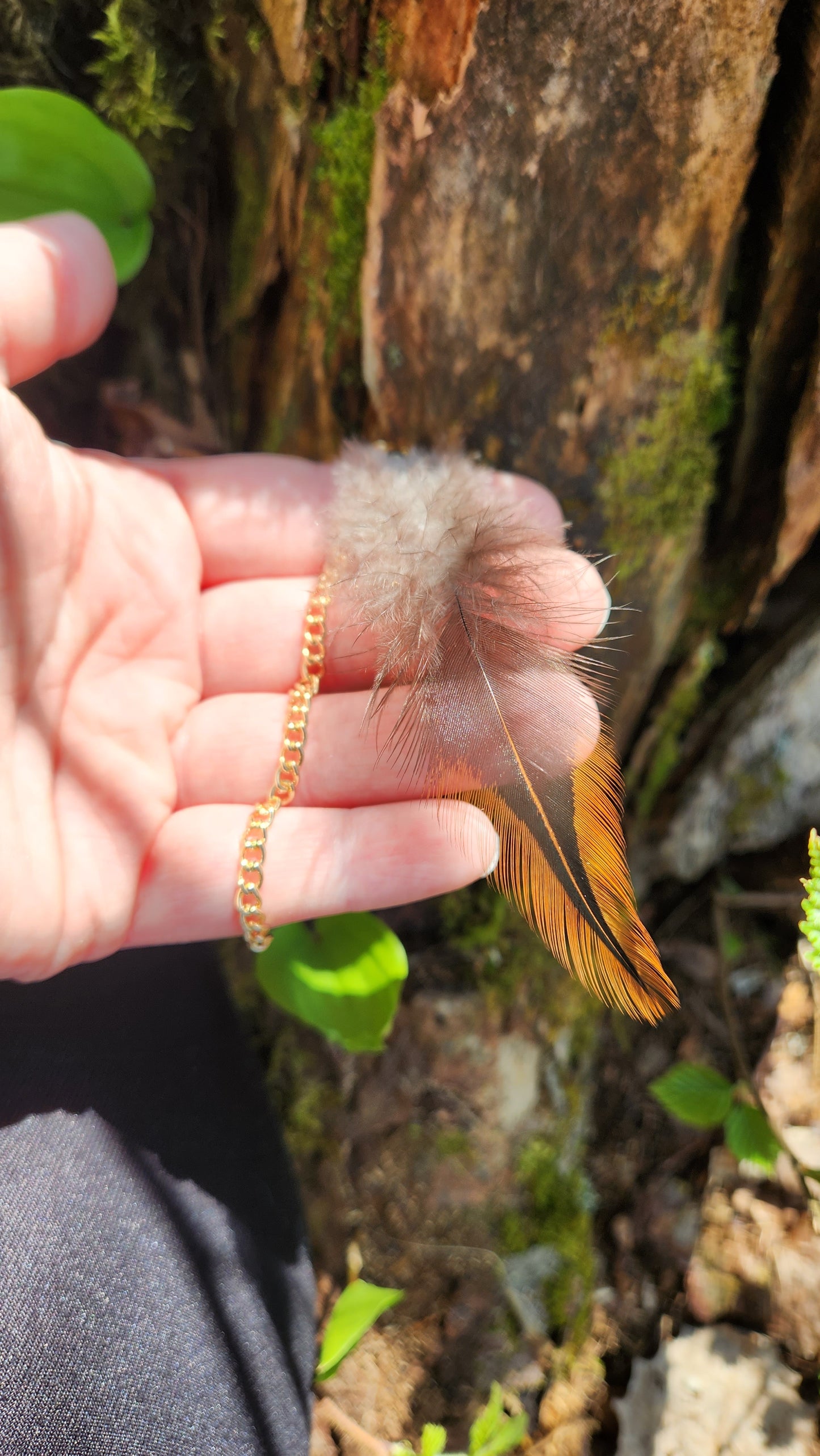 Flaming Feather Earrings