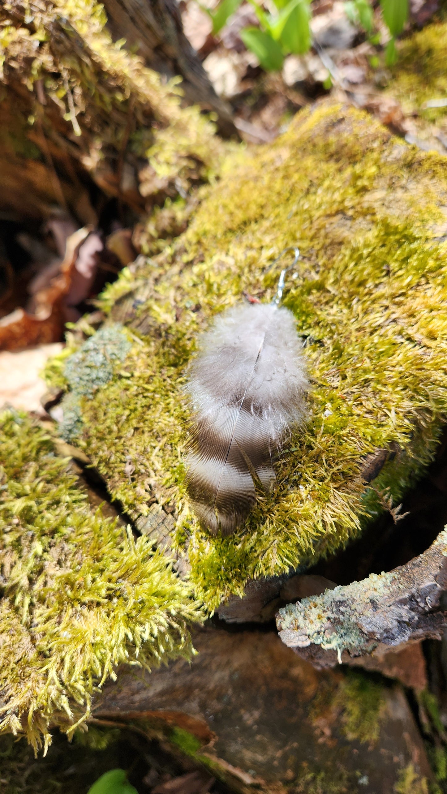 Light as a Feather Earrings