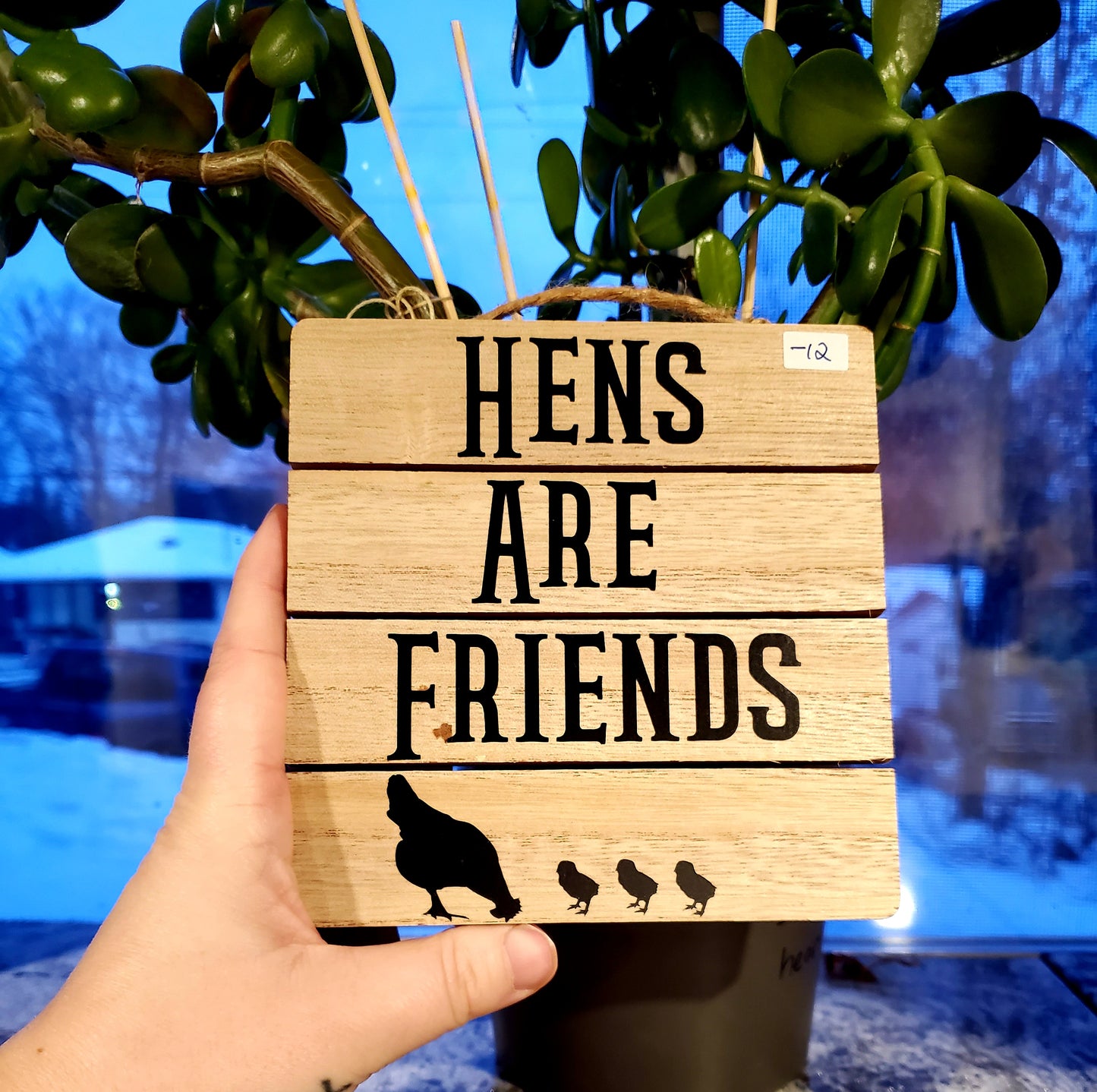 Hens are Friends Sign